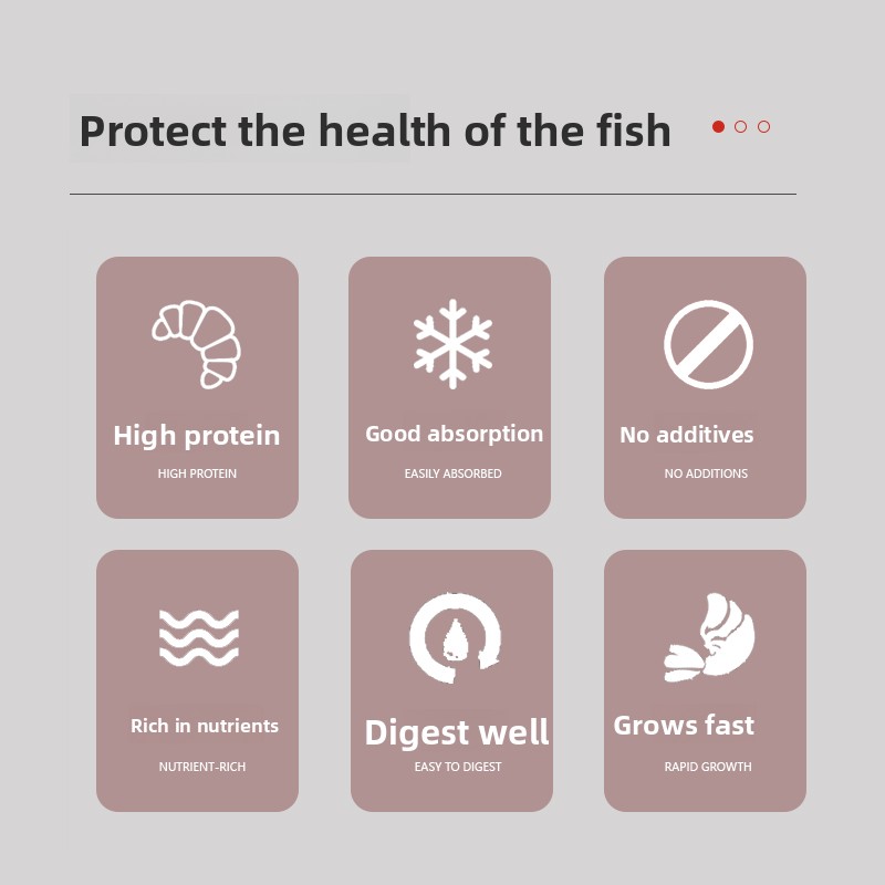 PENISON Powder Baby Fish Food, - Baby Food High In Protein ulasan dan harga