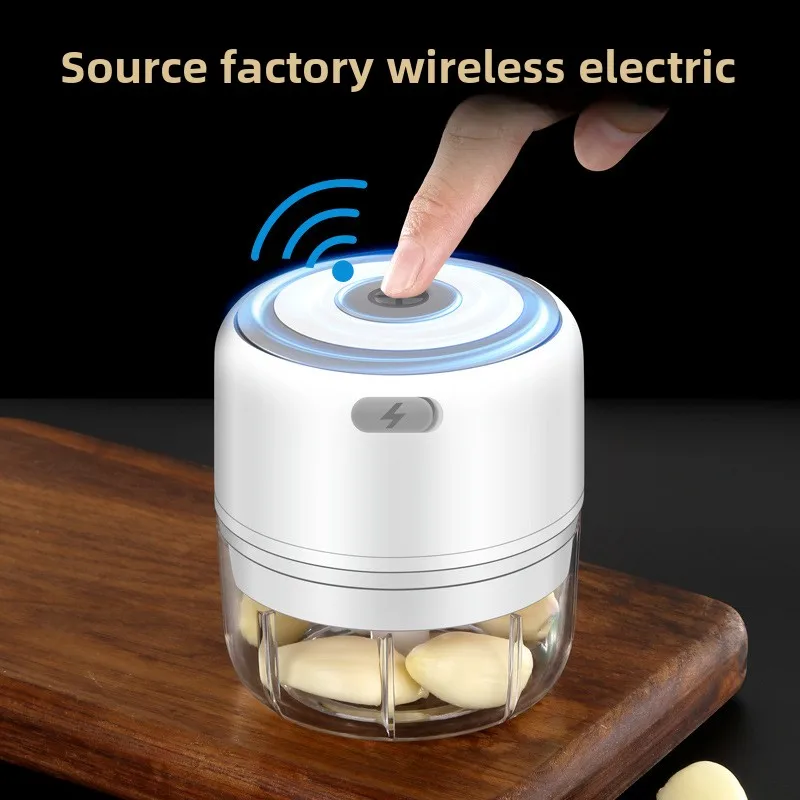 Electric Mini Garlic Chopper 1 - Baby Food Ingredients ulasan dan harga
