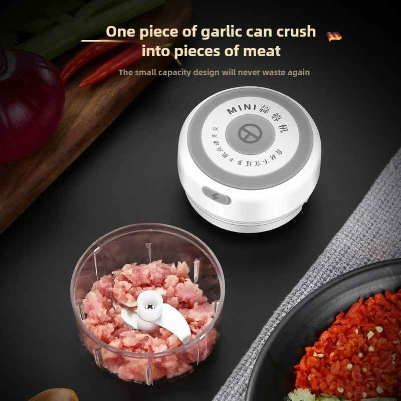 Electric Mini Garlic Chopper 1 - Baby Food Ingredients ulasan dan harga