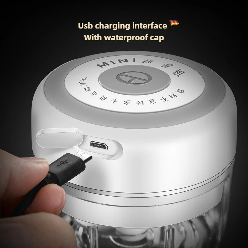 Electric Mini Garlic Chopper 1 - Baby Food Ingredients ulasan dan harga
