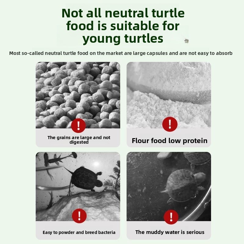 Nai chong Hatchling Turtle Foo - Baby Food High In Protein ulasan dan harga